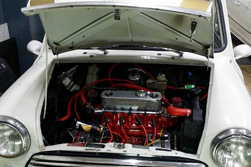mini-500×333